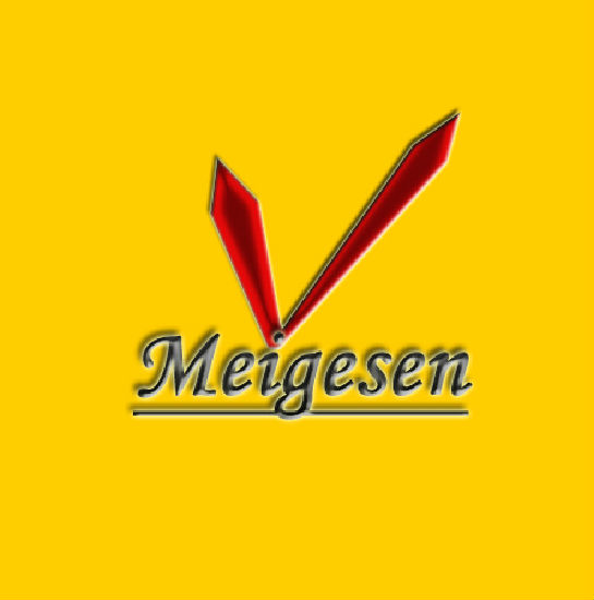 Shenzhen Weisen Watch Co., Ltd.