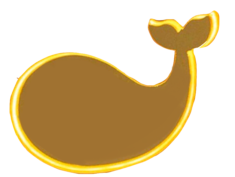 Shenzhen Whale Vision Technology Co.,Ltd