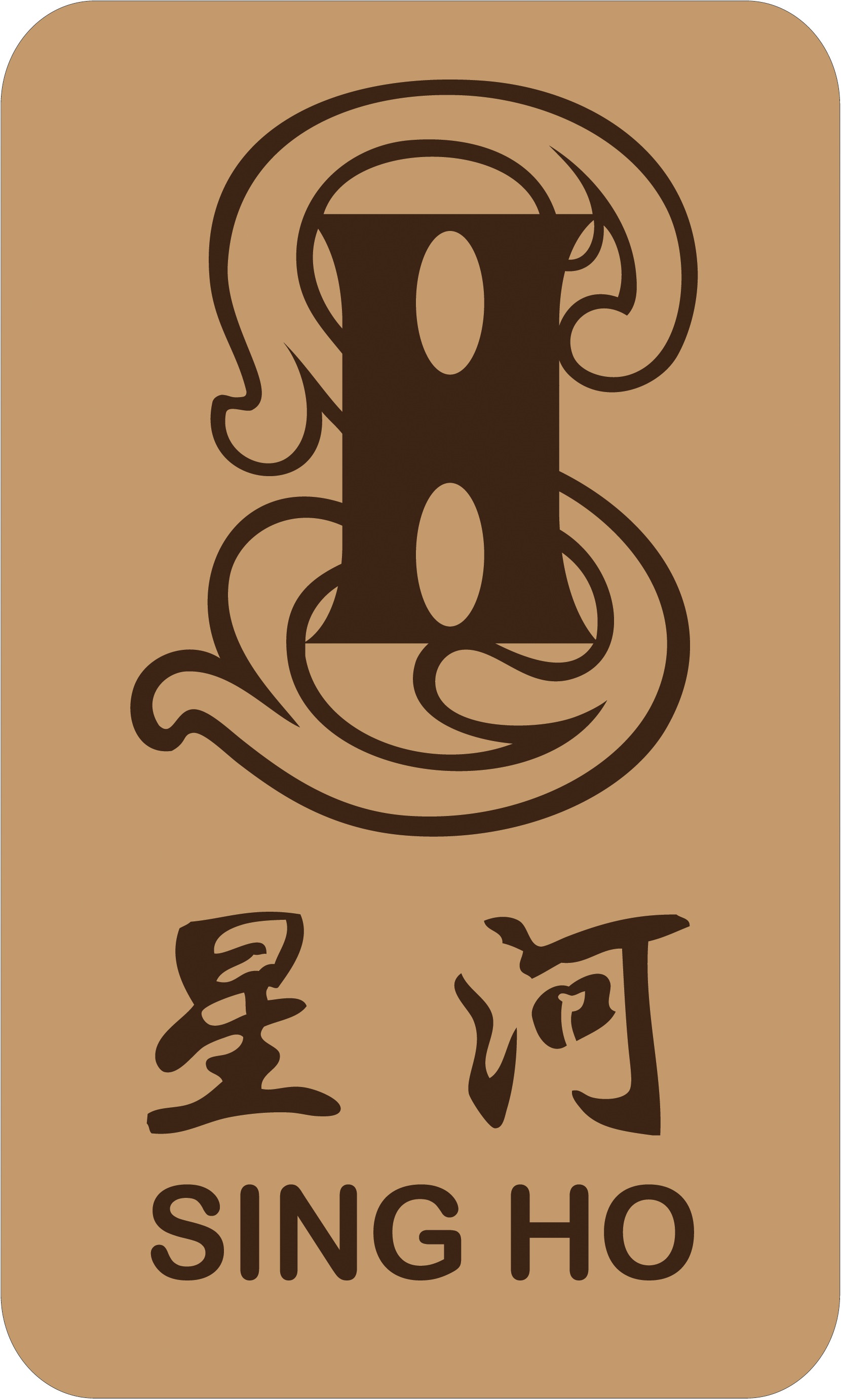 星河發展國際有限公司