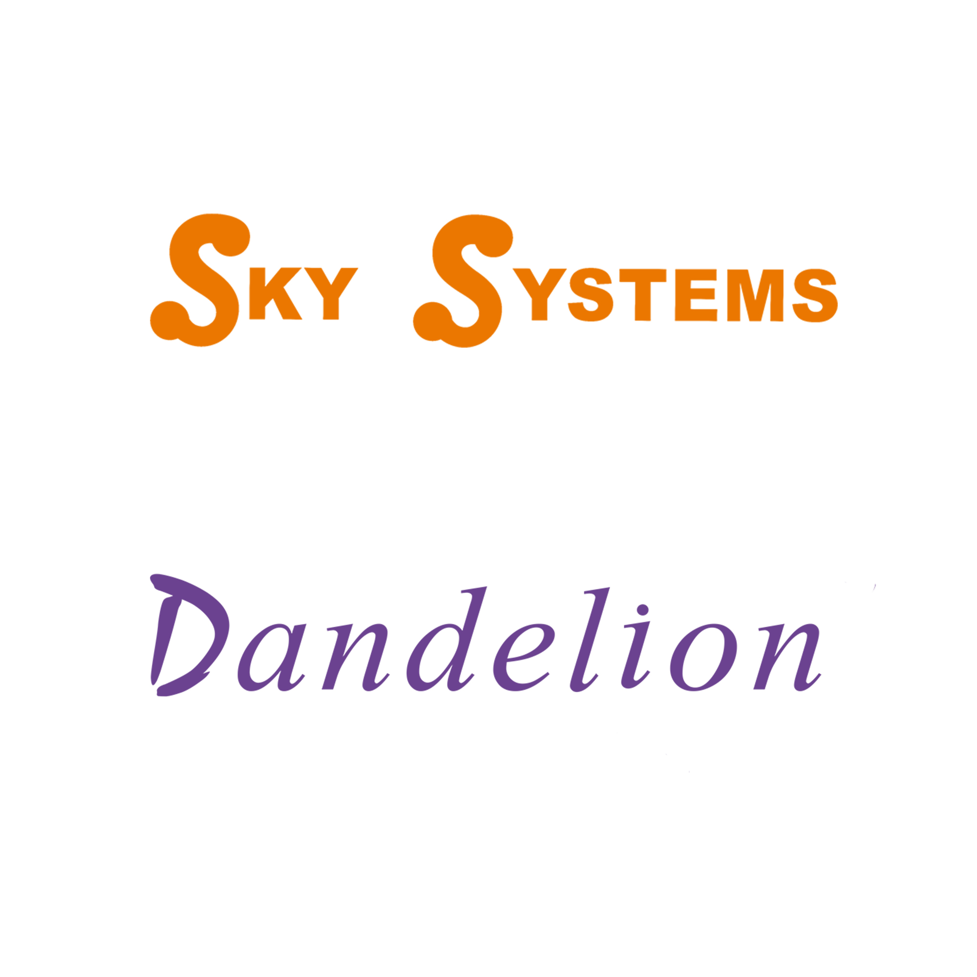 Sky Systems (HK) Limited