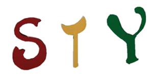 Starwood Young Company Limited