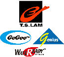 T S Lam Metal & Plastic Co Ltd