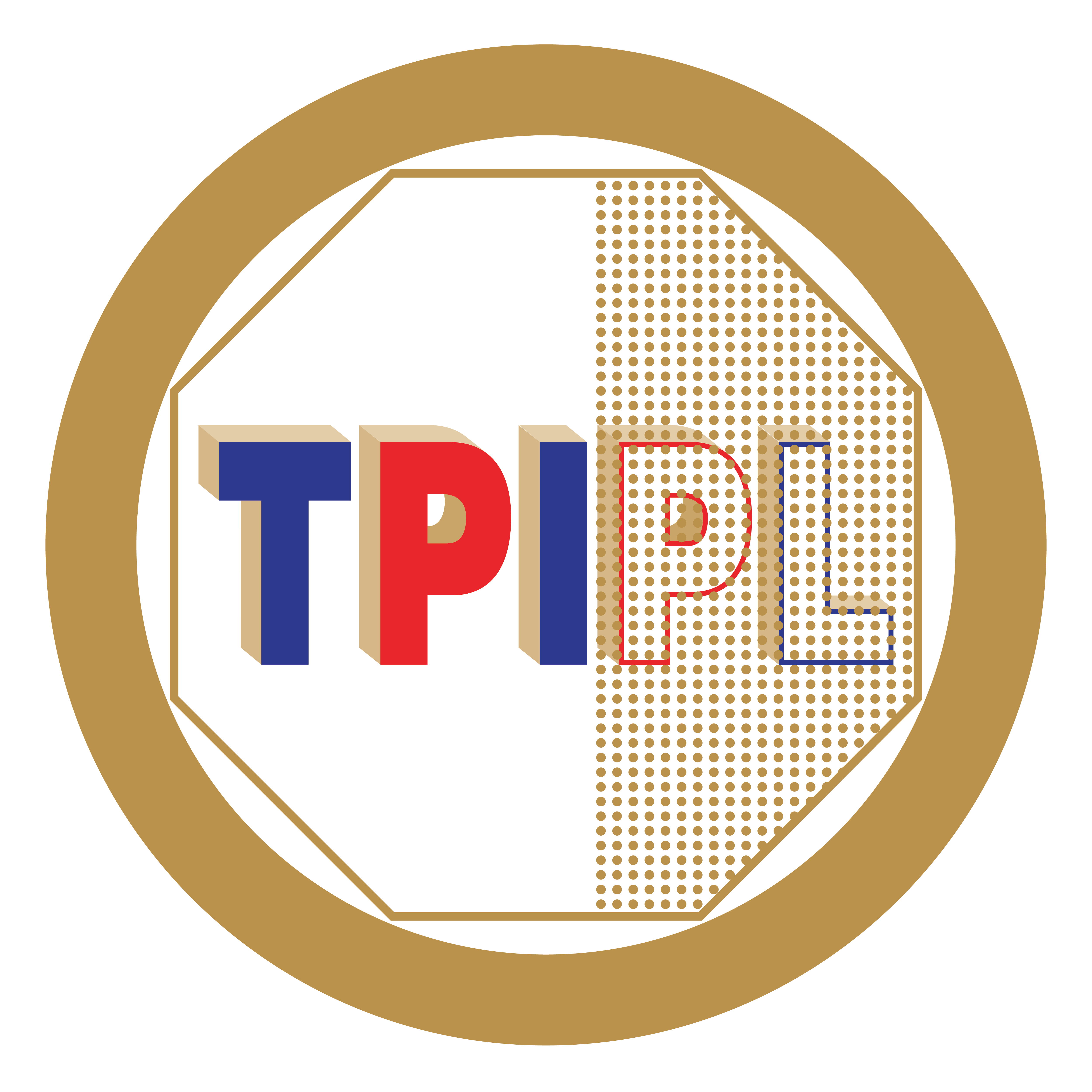 TPI Polene Public Company Limited