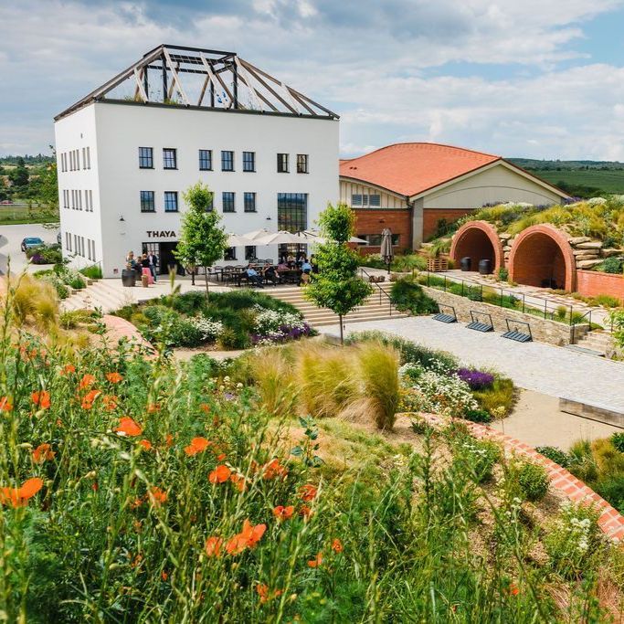 Thaya Winery