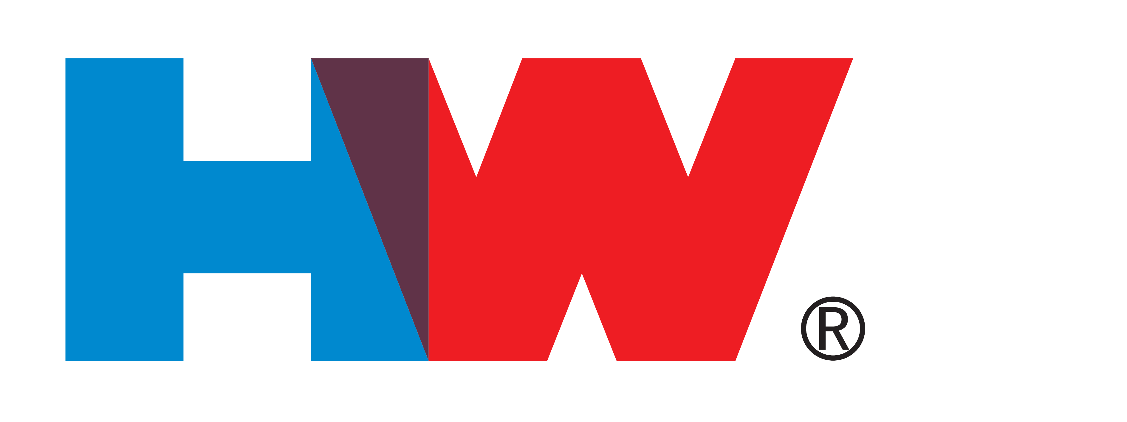 虎頭高力電池(香港)有限公司