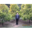 Topgallant Gifts Industry Co.,Ltd