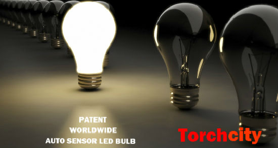 Torch Industrial Co., Ltd.