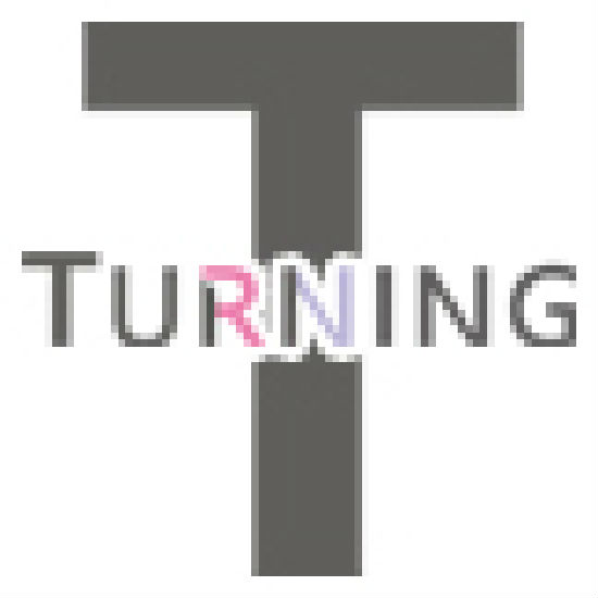 Turning Jewellery Co Ltd