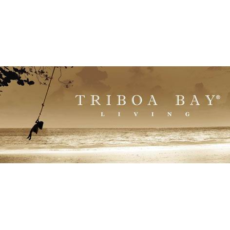 VIVERE LIFESTYLES CO INC