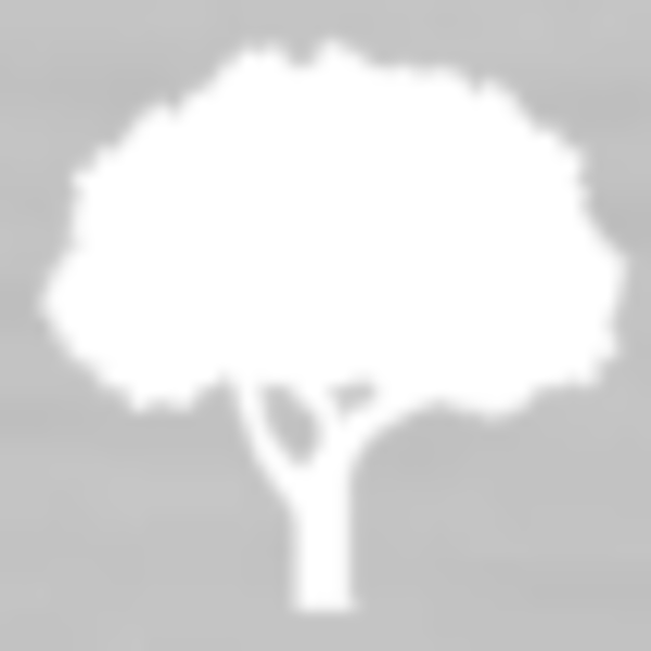 Vasco International Co.,Ltd.