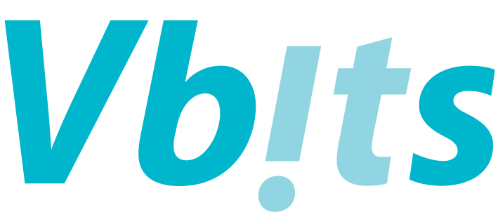 Vision Beta IT Solutions Limited