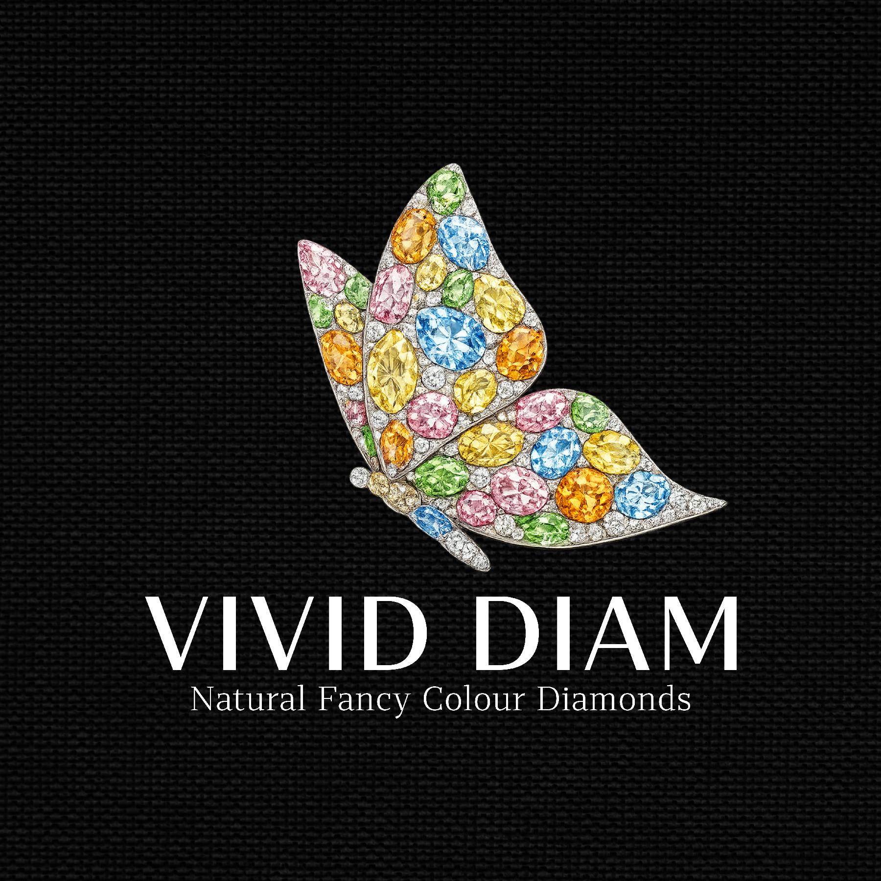 Vivid Diam