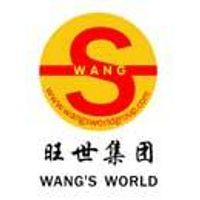 WANG'S WORLD GROUP LIMITED.