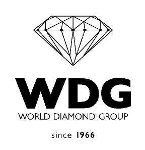 WDG Since 1966 Srl