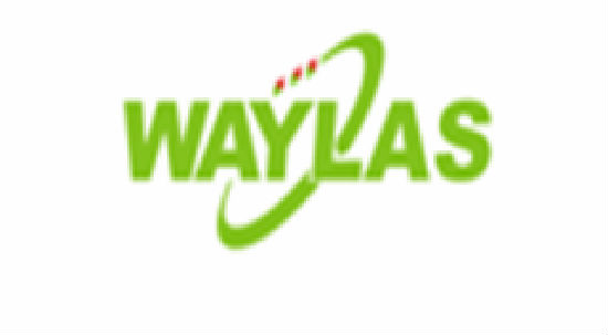 Waylux Hongkong Co, Limited