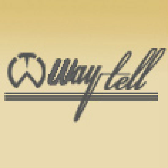 伟拓(香港)有限公司