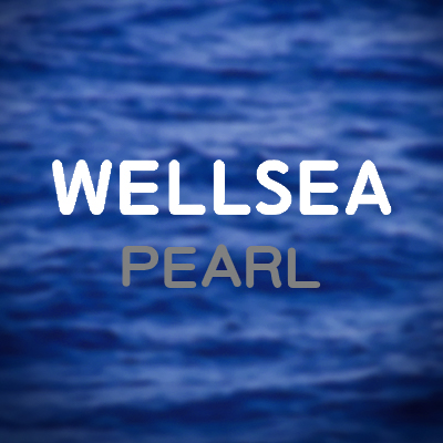 Wellsea Jewellery Co., Limited