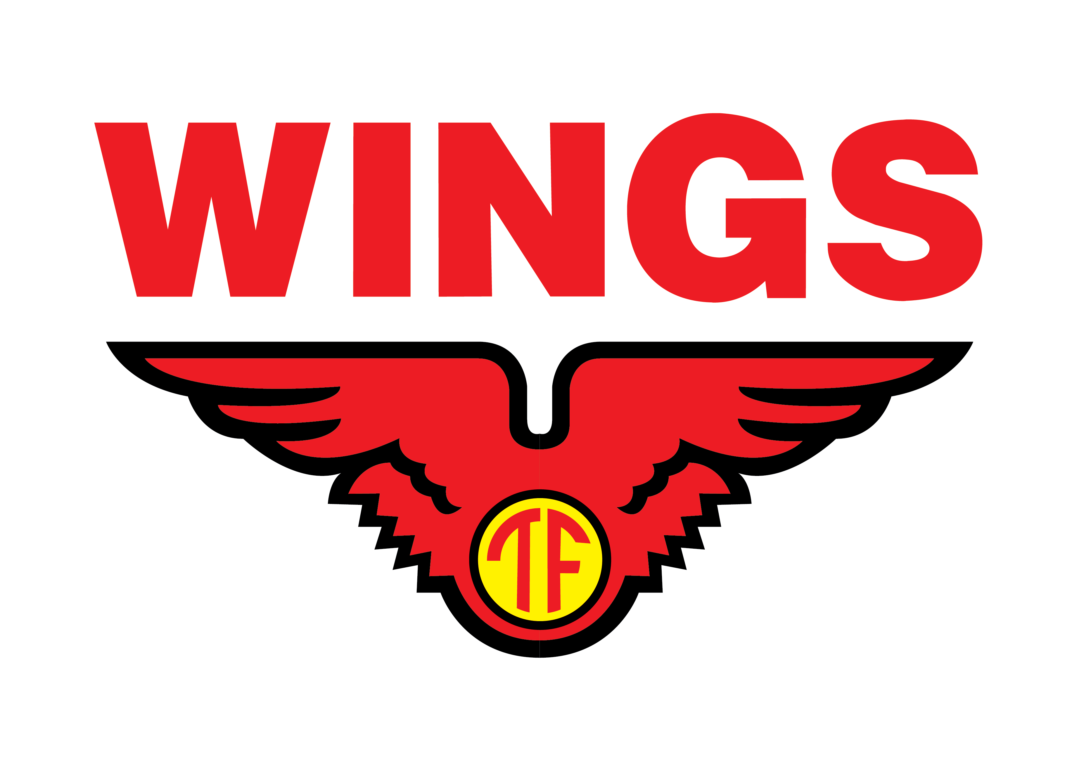 Wings Group Indonesia