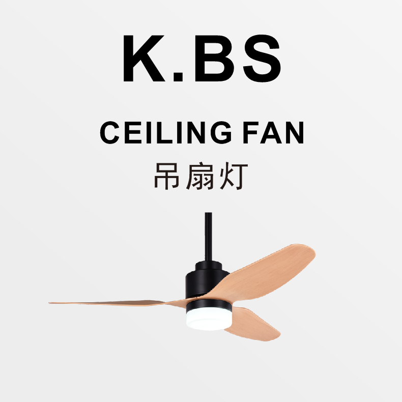 中山科佰实电器有限公司