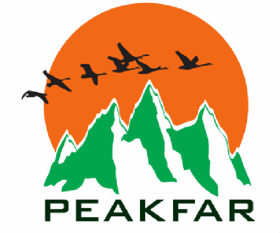 Zibo Peakfar Import Export Co., Ltd.